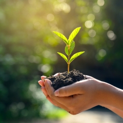 19.4.25, ab 10 Uhr: Neu: AUFATMEN! - ein Angebot am Sonntagmorgen- Diesmal mit GREENFAITH