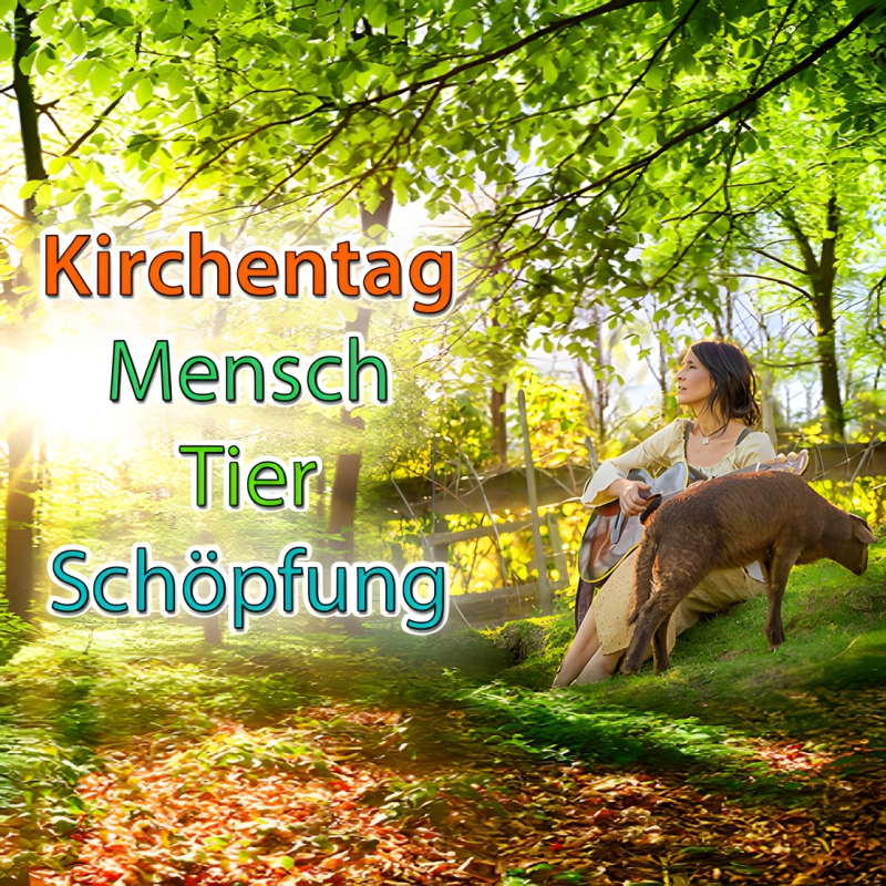 27.-29.9.2024: Drei Tage Kirchentag Mensch-Tier-Schöpfung in der Pauluskirche - Vorträge, Konzert, Aktionen, Ständemarkt u.a.